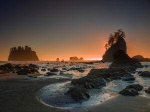 Olympic Peninsula Spring 2026