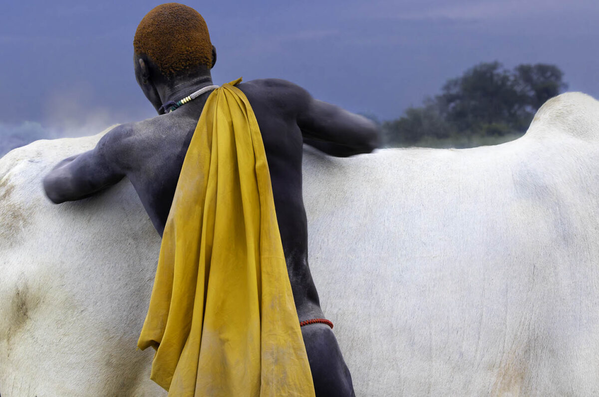 A Mundari tends to his cattle