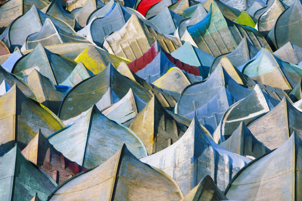 Lake Natron region, Tanzania, Greater flamingos