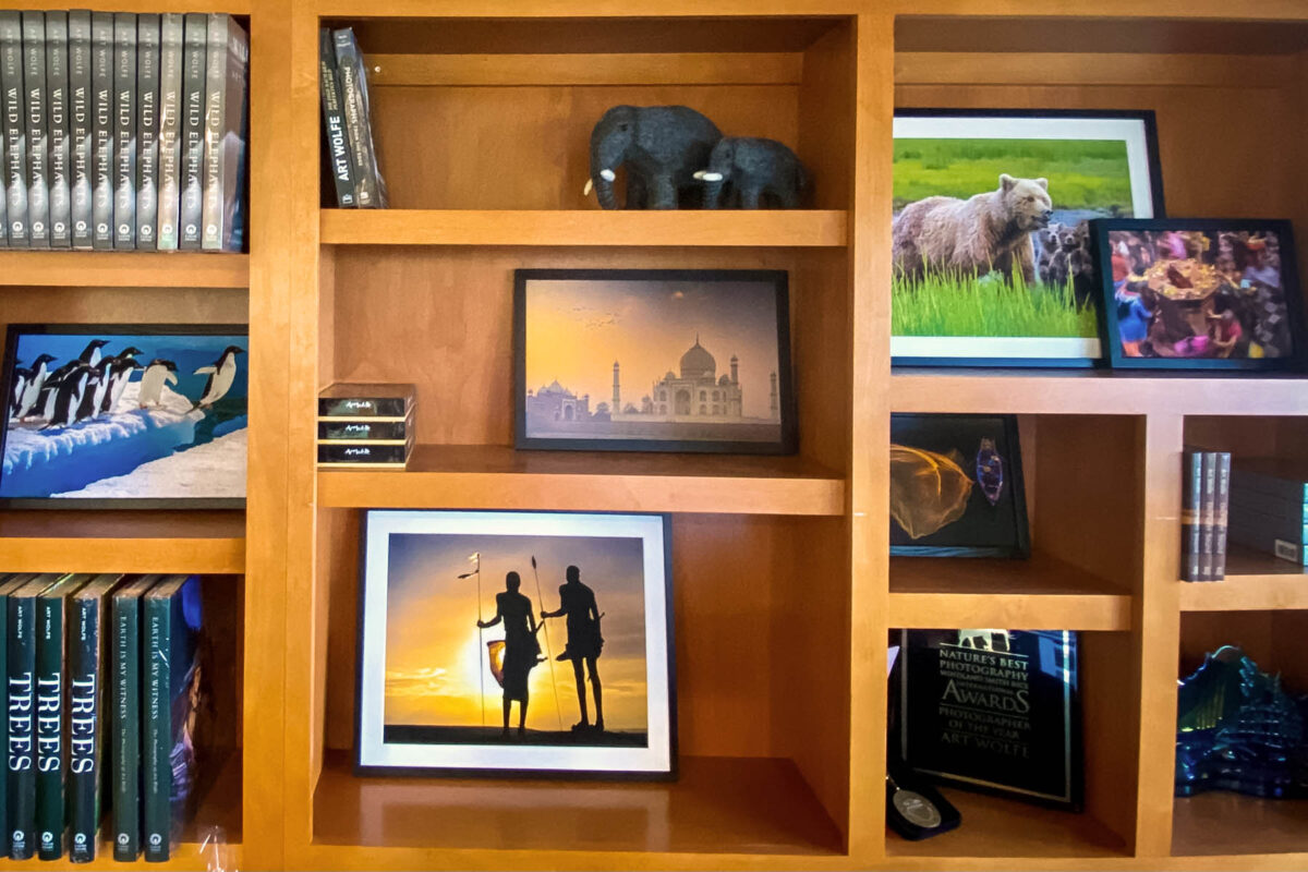 A bookshelf featuring framed prints by Art Wolfe using Epson printers.